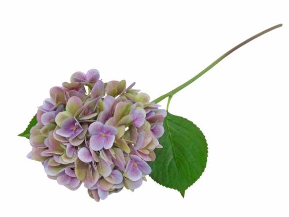 FLOR ARTIFICIAL -PE DE HORTENSIA COR ROSA/PURPURA 51CM - 3 Flores